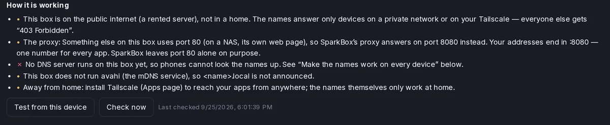 How it is working list: the proxy answers on port 8080 because something else uses port 80; no DNS server runs on this box yet; avahi not running; install Tailscale for away from home. Buttons Test from this device and Check now.